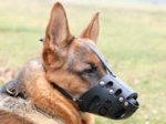Everyday German Shepherd Leather Dog Muzzle - gsd muzzle