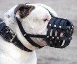 Everyday Light Weight Ventilation Muzzle for Dogo Argentino