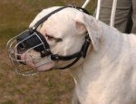 Basket Wire Dog Muzzle Light For American Bulldog - R2