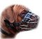 Best Big Wire Muzzle for Dogue De Bordeaux Basket-Cage Dog Muzzl