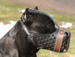 Leather Dog Muzzle in Dondi Style for Cane Corso m55