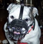 Short Wire Basket Dog Muzzle for Breeds with Short Snout