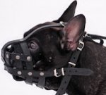 French Bulldog Light Weight Ventilation Small Dog Muzzle M41