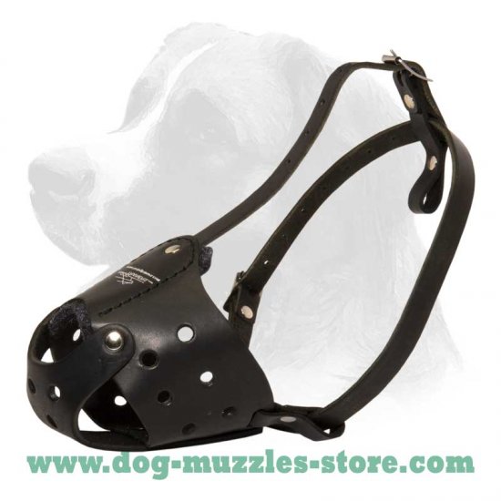 Everyday Comfortable Leather Dog Muzzle for all Breeds