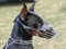 Basket Wire Dog Muzzle Light For Doberman