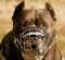 Pitbull Basket Cage Dog Muzzle - M9