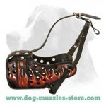 Hand Painted by Artists Leather Muzzle "Dondi" Plus