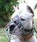 American Staffordshire Terrier Wire Basket Dog Muzzle