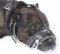 Fully Padded Royal Nappa Leather Dog Muzzle