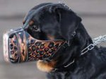 Hand painted by our artists leather Muzzle "Dondi" Plus-Rottweiler