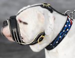 Royal Nappa Leather Padded Dog Muzzle for American Bulldog