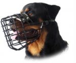 Rottweiler Ruber Coated Dog Muzzle for Winter