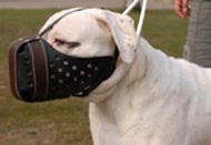 American bulldog muzzle- muzzle for american bulldog