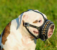 Royal Pyramids Studded Leather Dog Muzzle for American Bulldog