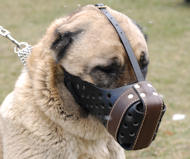 Leather Dog Muzzle "Dondi" style For Anatolian Shepherd