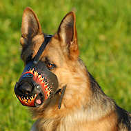 designer art leather dog muzzle