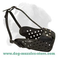 Training leather dog muzzle for medium and big dogs