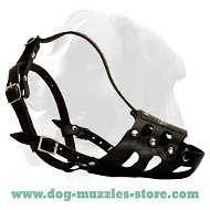 Handmade No-bite Custom Leather Dog Muzzle