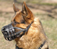 Everyday Light Weight Ventilation German Shepherd Muzzle