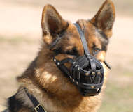 German shepherd leather dog muzzle