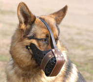 Leather Dog Muzzle "Dondi"- plus style For German Shepherd