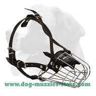 Extra comfortable dog safe wire basket muzzle