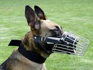 Fully Padded Basket Wire Dog Muzzle for Malinois