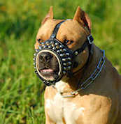 Royal Pyramids Studded Leather Dog Muzzle for Pitbull