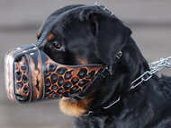 rottweiler muzzle