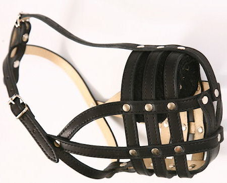 Every Day Leather Large Dog Muzzle for Bullmastiff