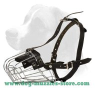 Medium/Large Basket Dog Muzzle -best dog muzzle