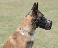 Leather Dog Muzzle "Dondi" style For Malinois