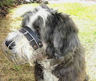 Bearded Collie Wire Basket Dog Muzzle