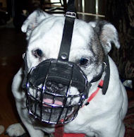 Short Wire Basket Dog Muzzle for Breeds with Short Snout