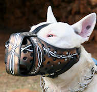 Best handcrafted designer leather dog muzzle for Bull Terrier