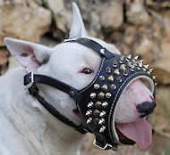 Dog muzzle for staffordshire bull terrier hotsell
