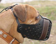 Leather Dog Muzzle in Dondi Style For Bullmastiff - m55