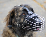 Wire Dog Muzzle for Kavkazskaya Ovcharka-Caucasian Shepherd DOG