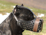 Leather Dog Muzzle in Dondi Style for Cane Corso m55