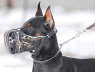 Doberman muzzle, leather dog muzzle for Doberman pinscher