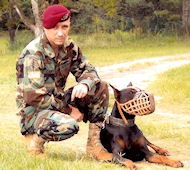 Doberman Leather Dog Training Muzzle