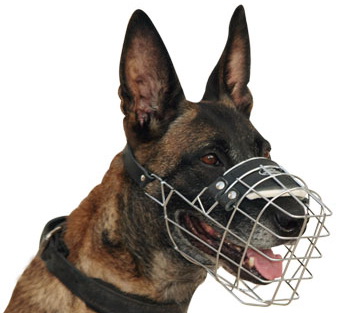 Wire Basket Dog Muzzle For Belgian Malinois -k9 muzzle