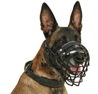 Best fit Wire Dog Muzzle for Belgian Malinois