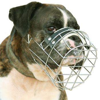 Boxer Wire Muzzle-Adjustable Boxer Muzzle-Boxers Dog Muzzle M9