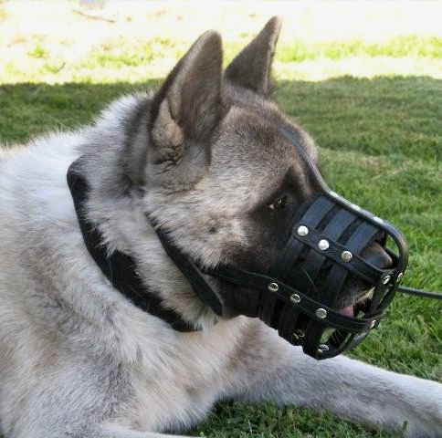 Everyday Light Weight Ventilation Dog Muzzle for Akita