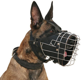 Malinois Wire Muzzle-Anti Biting Muzzle-Professional Dog Muzzle