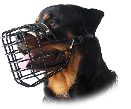 Small Dog Muzzle