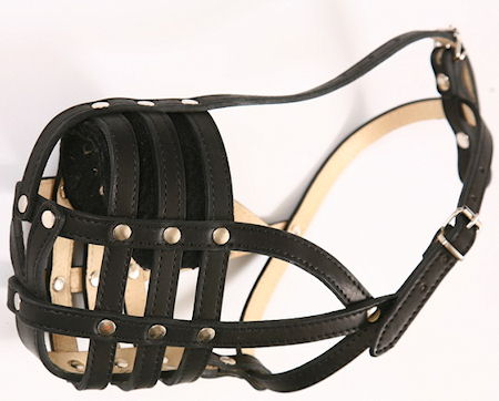 padded leather dog muzzle
