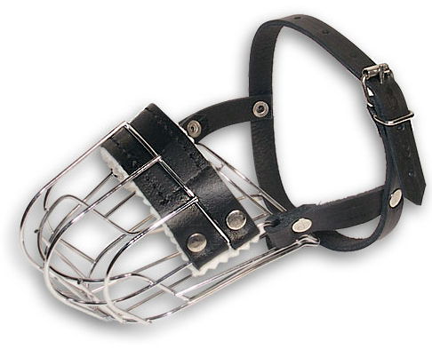 wire barder dog muzzle for small breeds