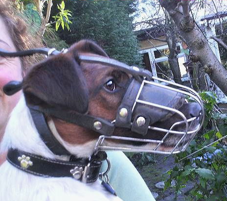 American Foxhound Wire Basket Muzzles - Dogs with Longer Snout